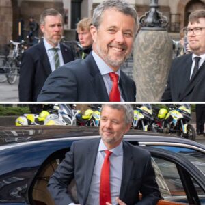 Ærlig kong Frederik: Nu skal jeg ikke gøre mig til dommer over den debat